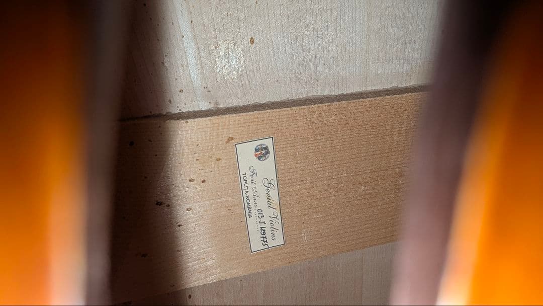 Gliga コントラバス1/4サイズ 本体