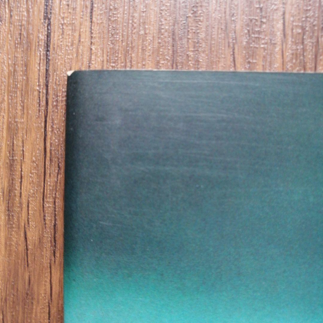 尾崎豊　ツアーパンフレット　半券　TOUR’91’BIRTH　Live Core