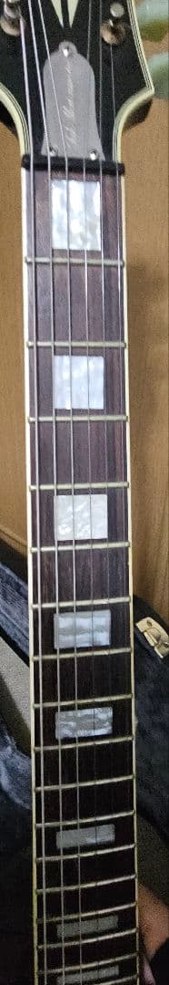 Epiphone TAK DC 松本孝弘　moody straps本革ストラップ