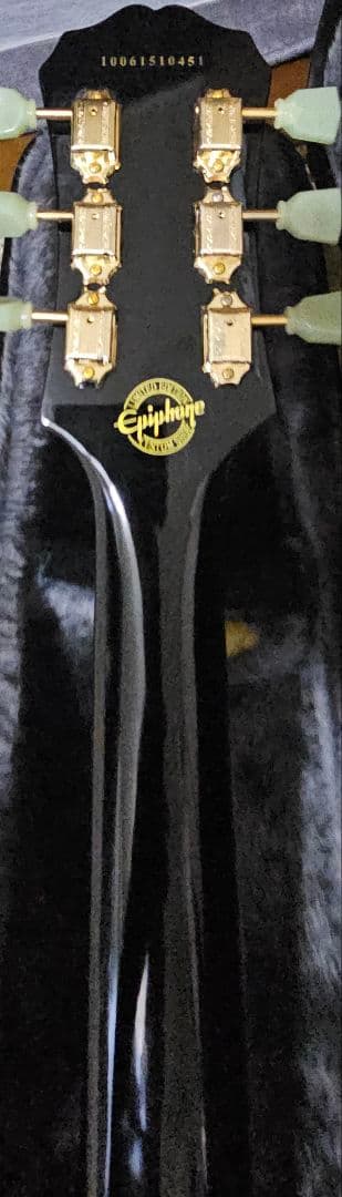 Epiphone TAK DC 松本孝弘　moody straps本革ストラップ