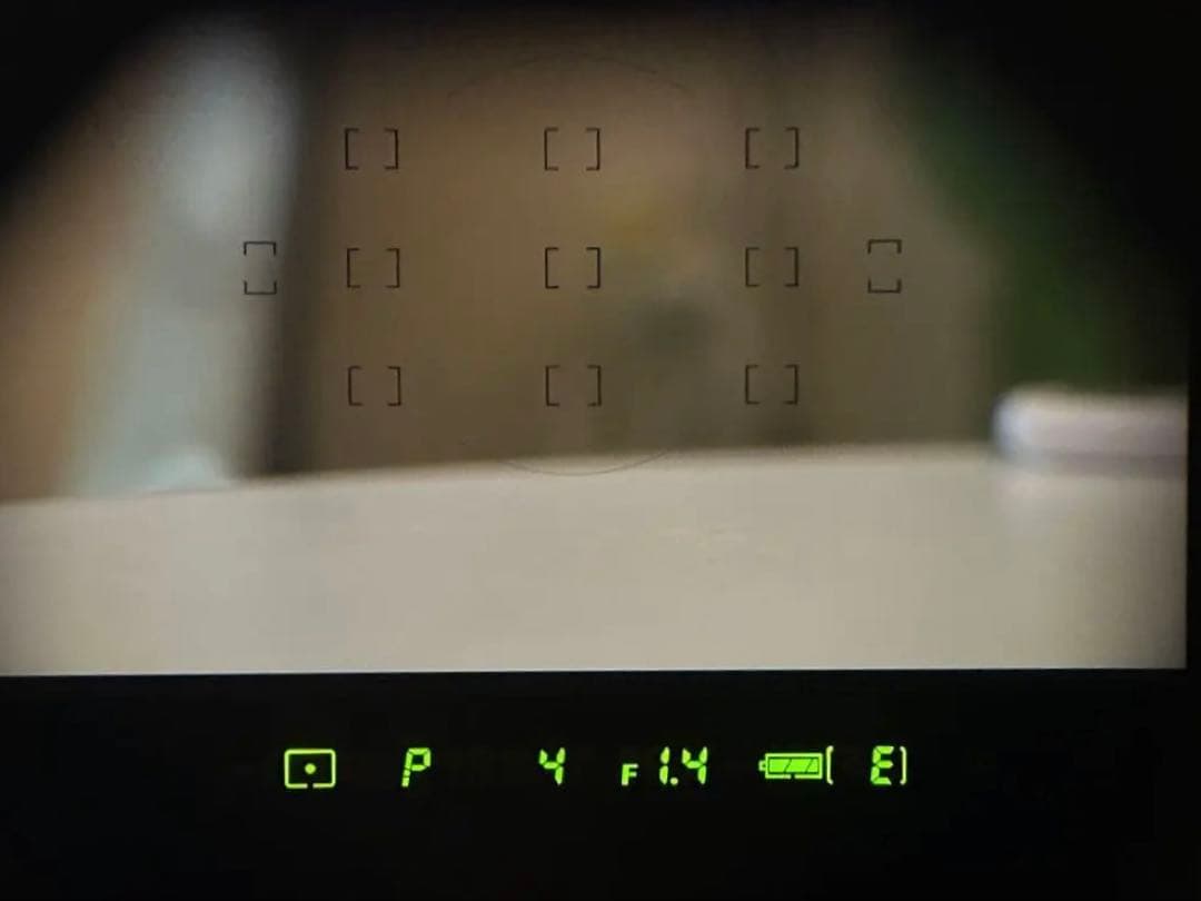 Nikon F6 腰痛持ちの店長