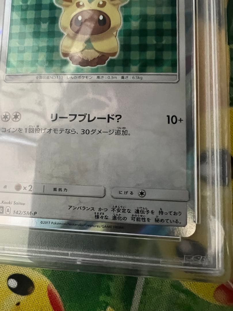 ポンチョを着たイーブイプロモPSA10