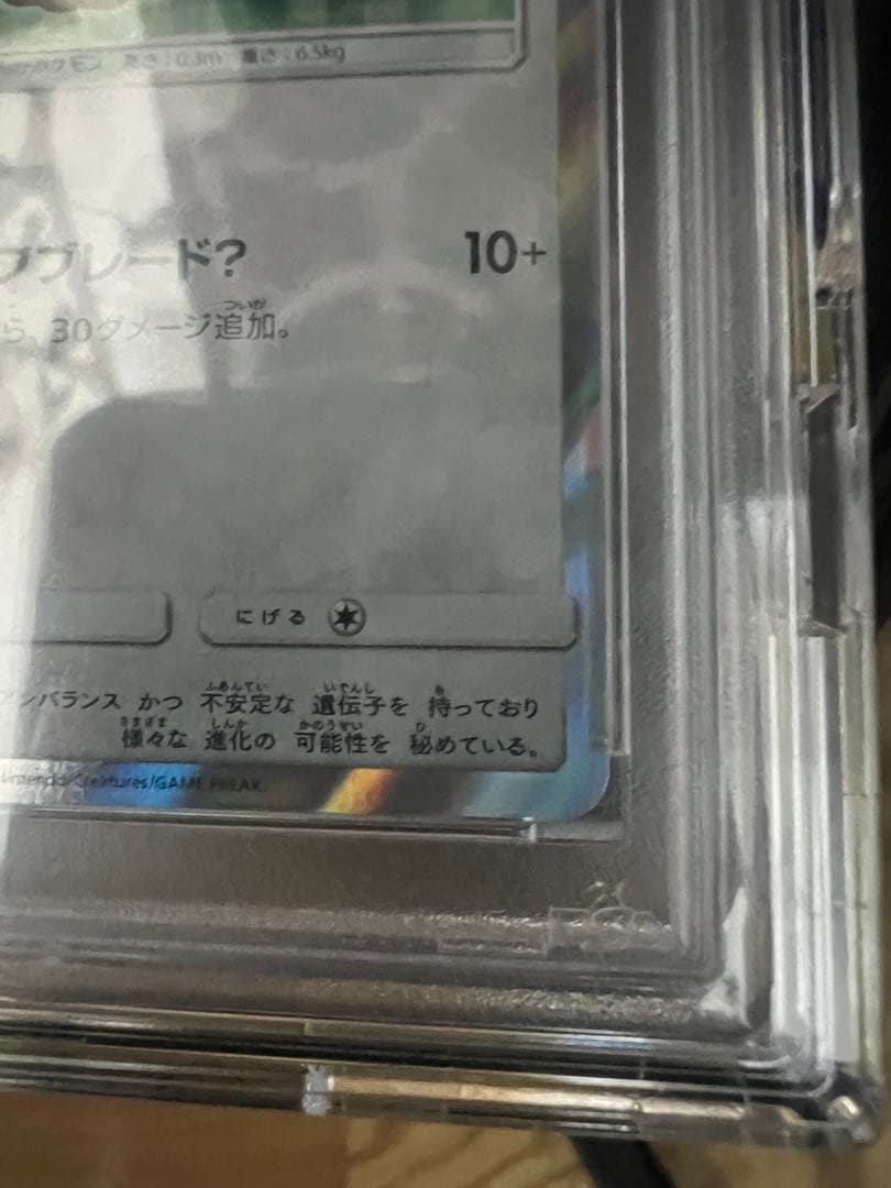 ポンチョを着たイーブイプロモPSA10