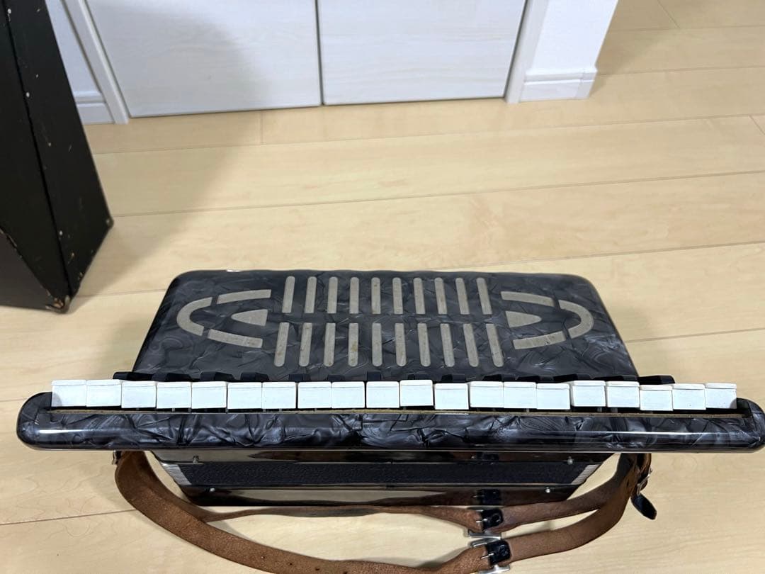 【希少】トンボ No.241 アコーディオン