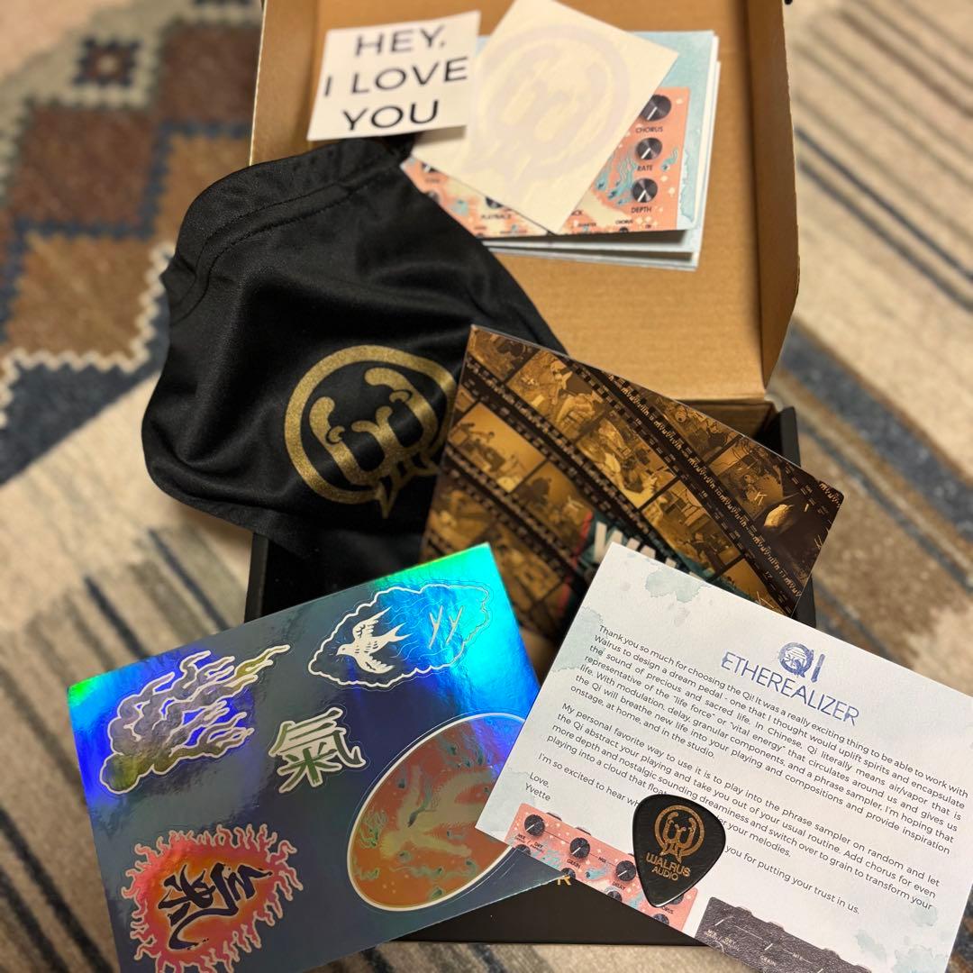 ギター Walrus Audio Qi Etherealizer