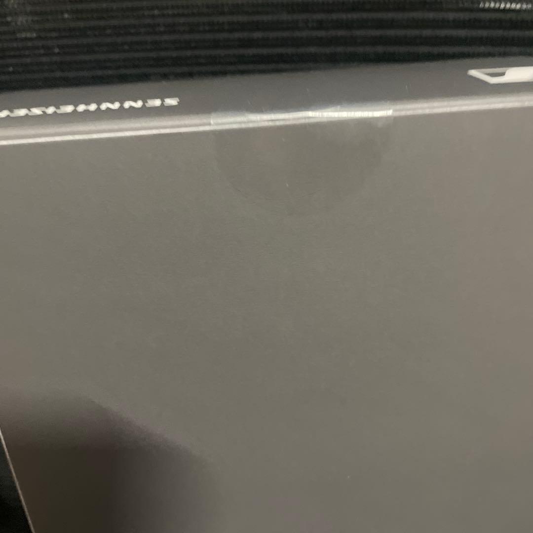 イヤホン SENNHEISER IE900