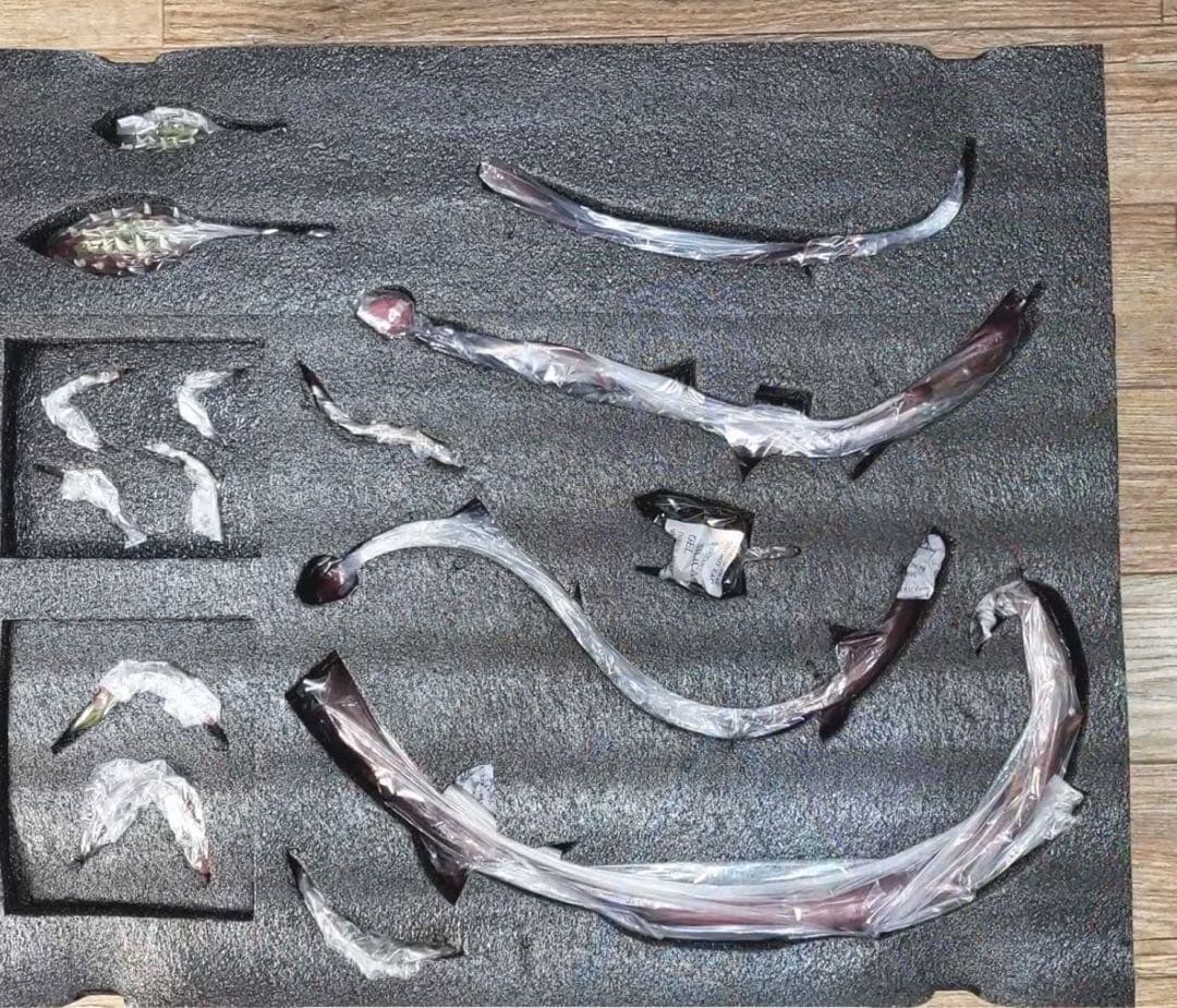 幽☆遊☆白書 蔵馬  ガレージキット ガレキ スタチュー ②