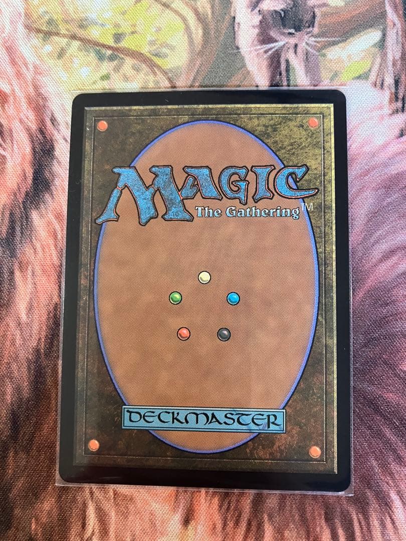 MTG オークの弓使い　ボーダーレス日本語版non Foil