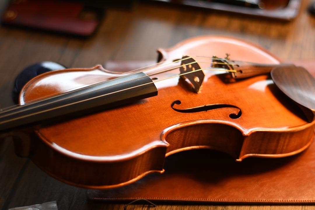 バイオリン4/4 ドイツ製Erich Werner エーリヒ・ヴェルナー1986