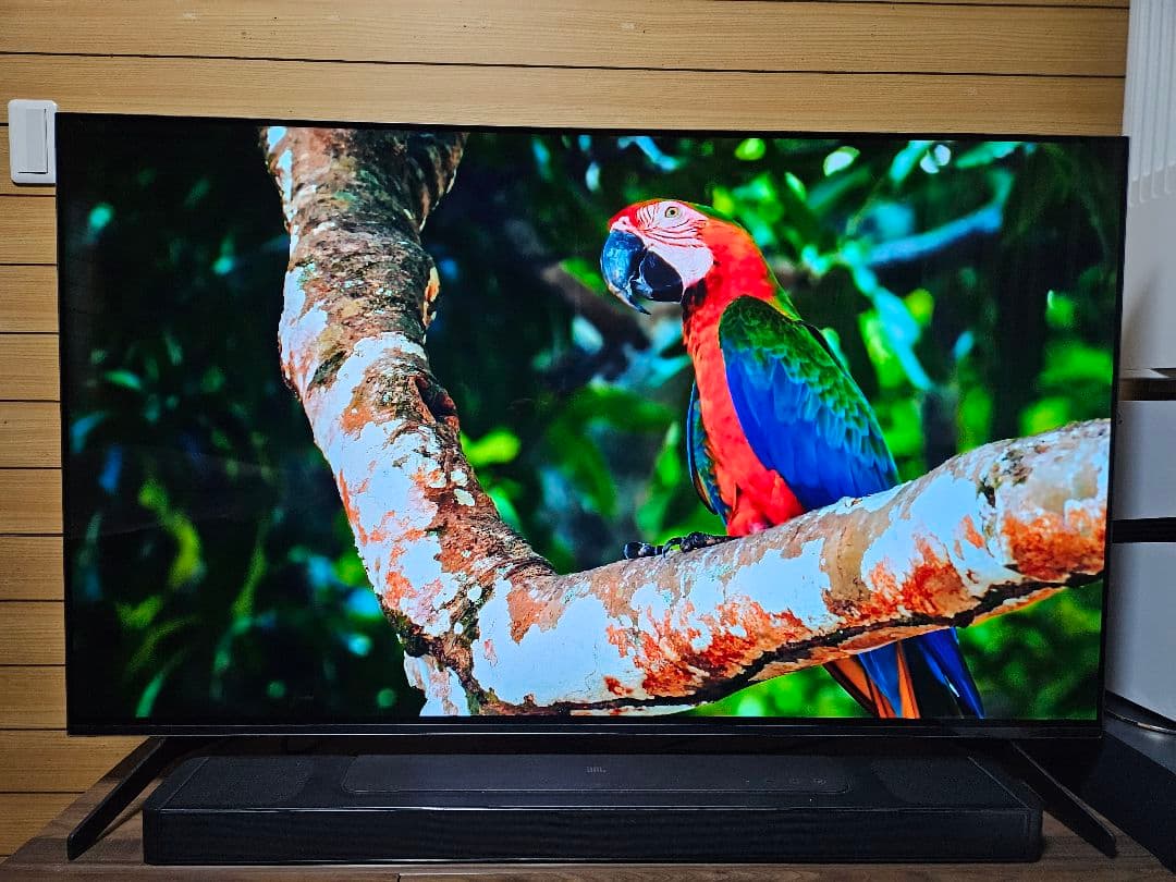 【美品】ソニーブラビア　有機ELテレビ55型　KJ-55A8H