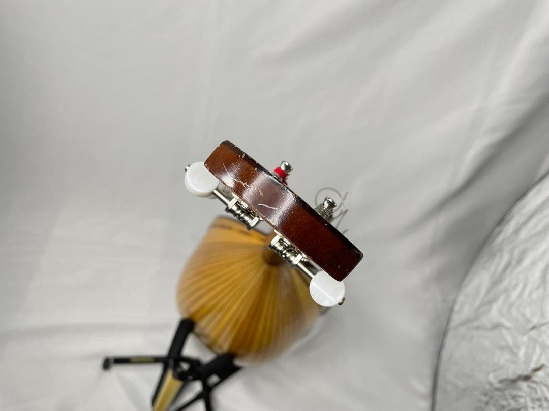 恵那/エナマンドリン M800 ラウンドクラシック