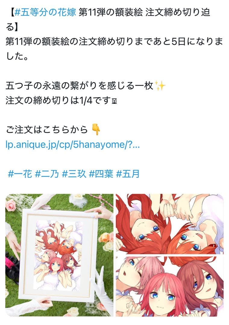 【希少レア/未開封】五等分の花嫁 原作 記念額装絵