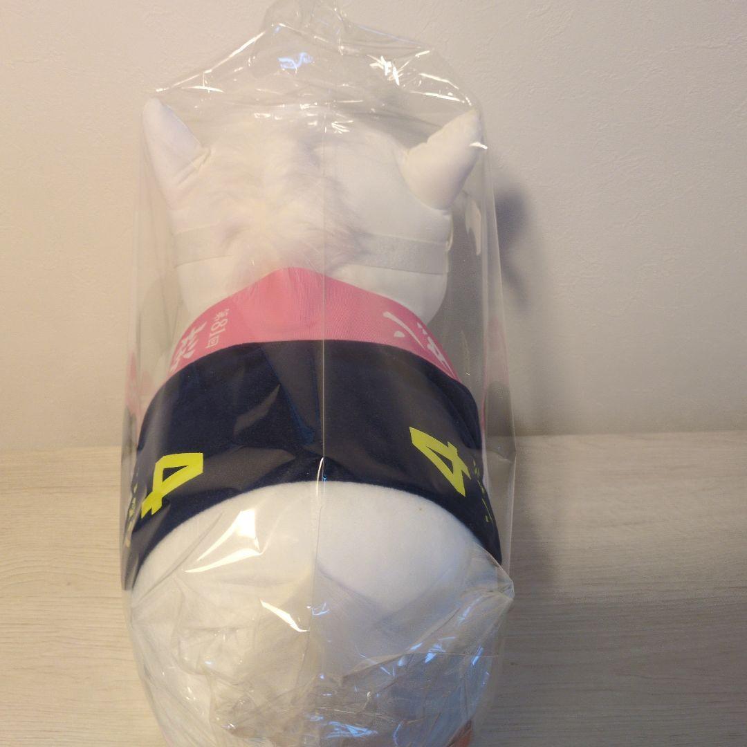 サラブレッドコレクションBIGソダシ