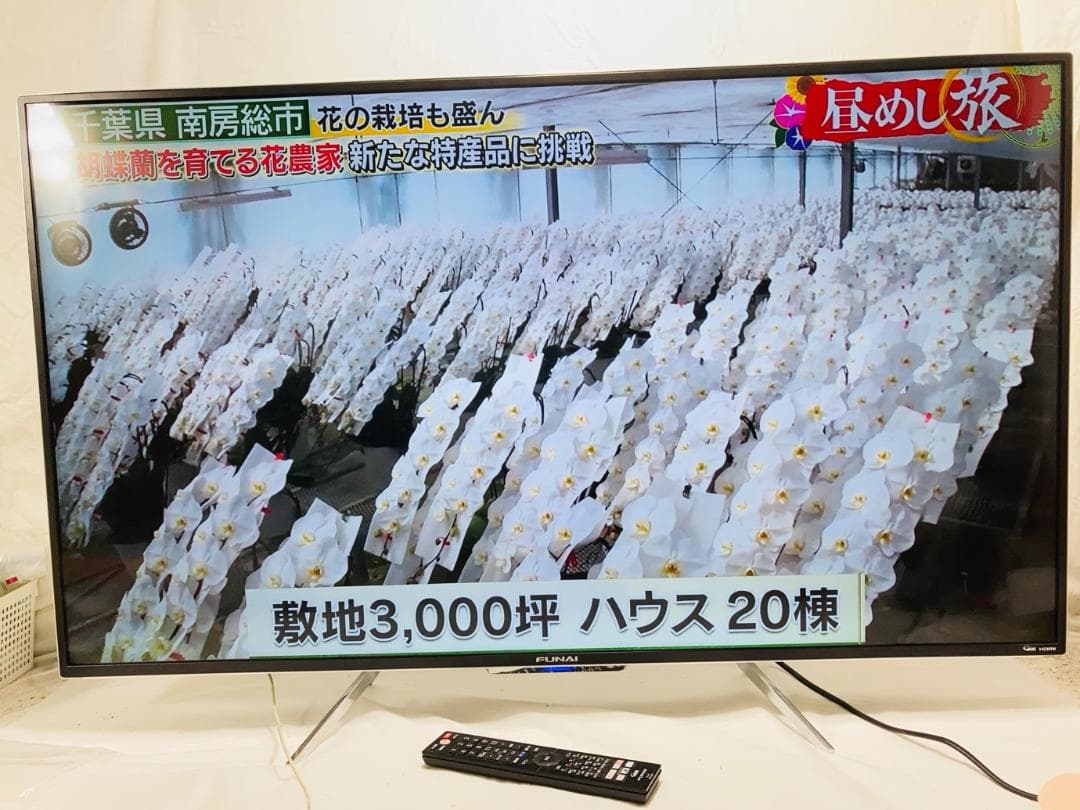 フナイ 49V型 4K 液晶テレビ ハードディスク内蔵 FL-49UD4100