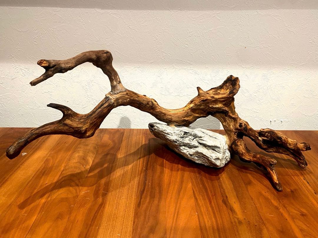 流木レイアウト A860