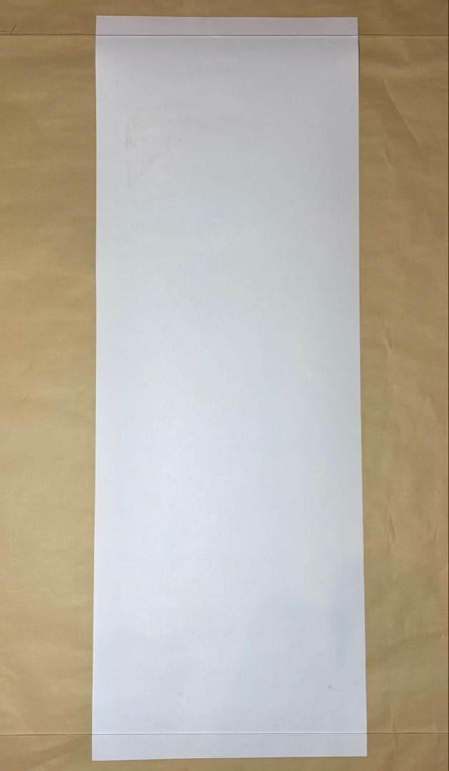 TAZ NOFX シルクスクリーンポスター　AKIRA