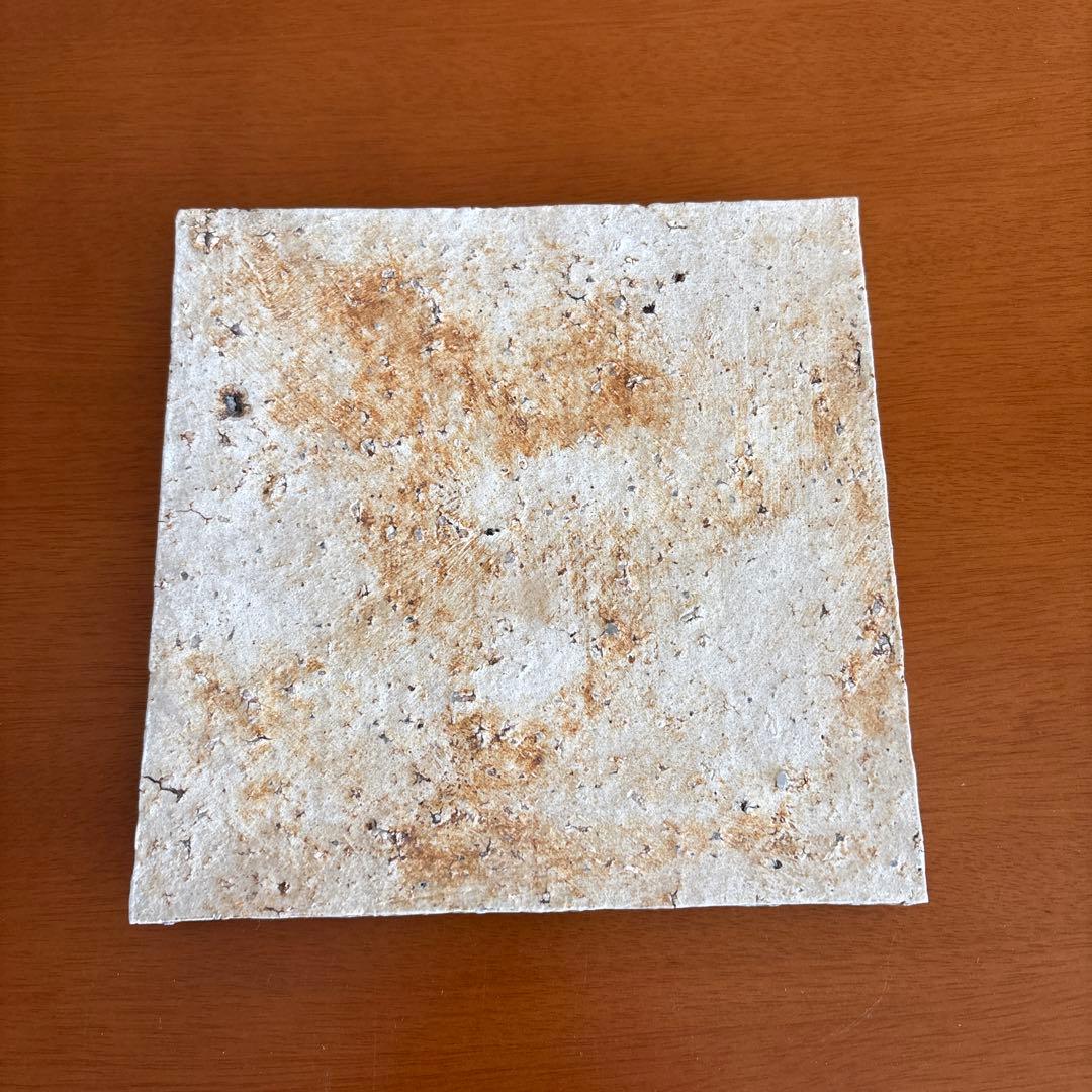 内田鋼一作 加彩盤(小)