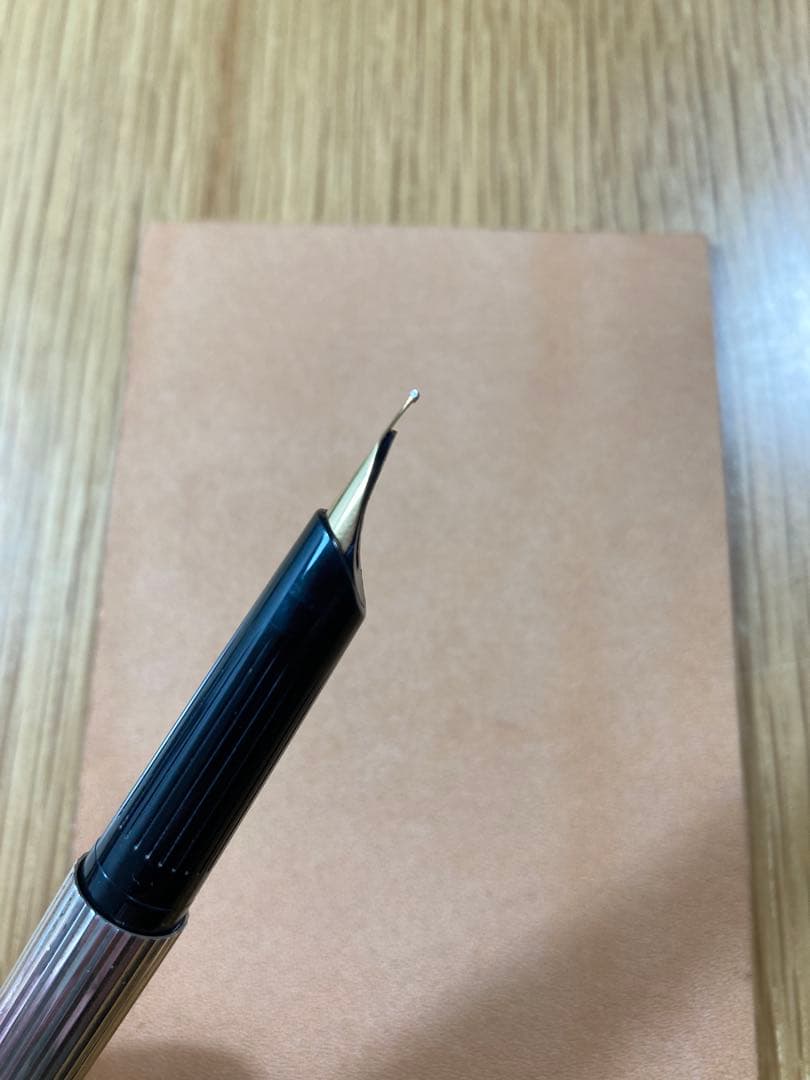 エス•テー•デュポン　クラシック　万年筆　ef スターリングシルバー