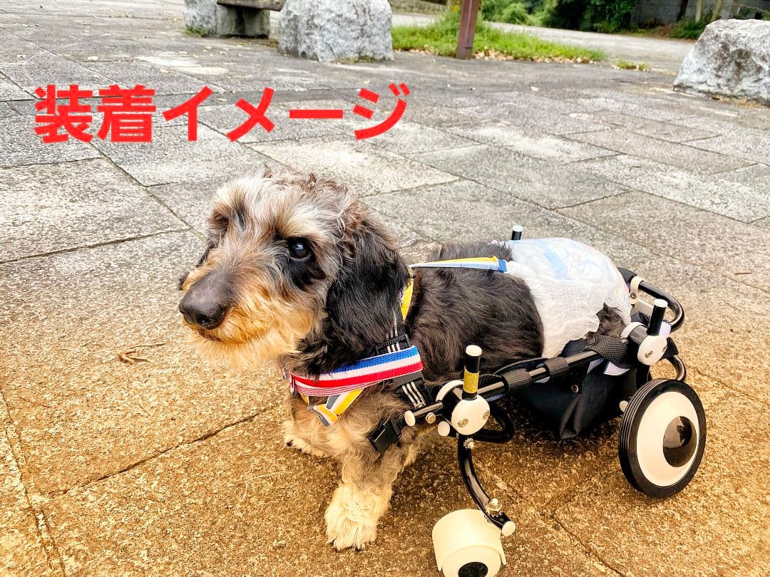 犬用車椅子[調整可能 2輪式]