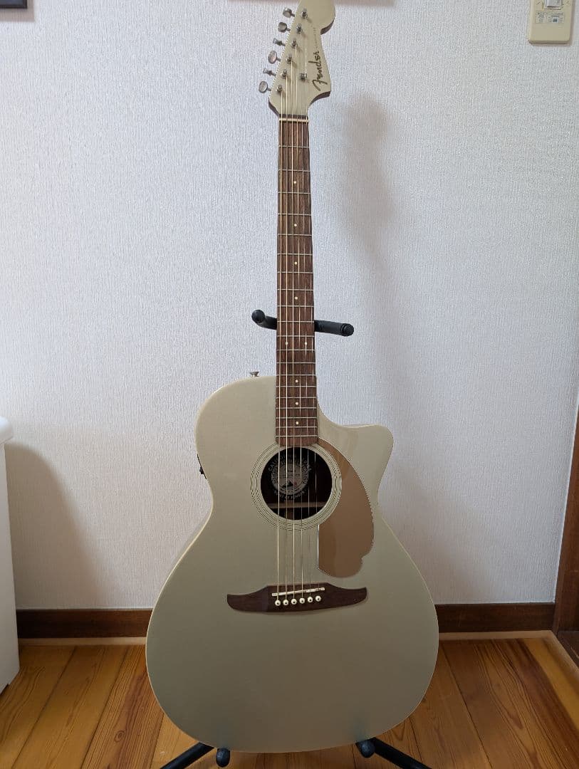 ギター Fender Newporter Player