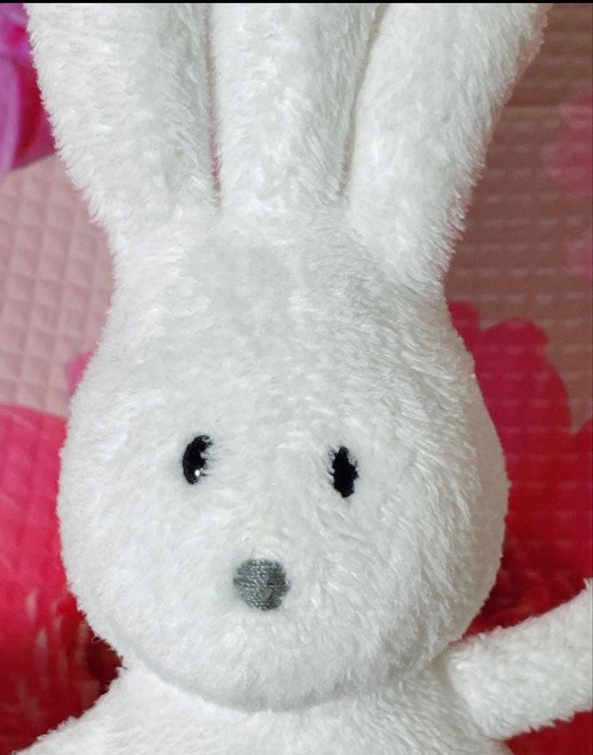 【即購入可・希少商品】バムとケロ おじぎちゃんぬいぐるみ