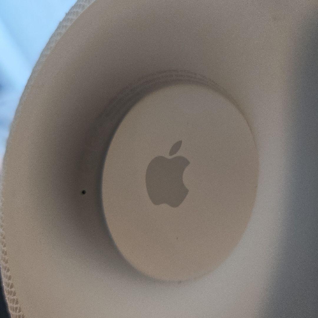 Apple Pod１世代　自然文鎮化