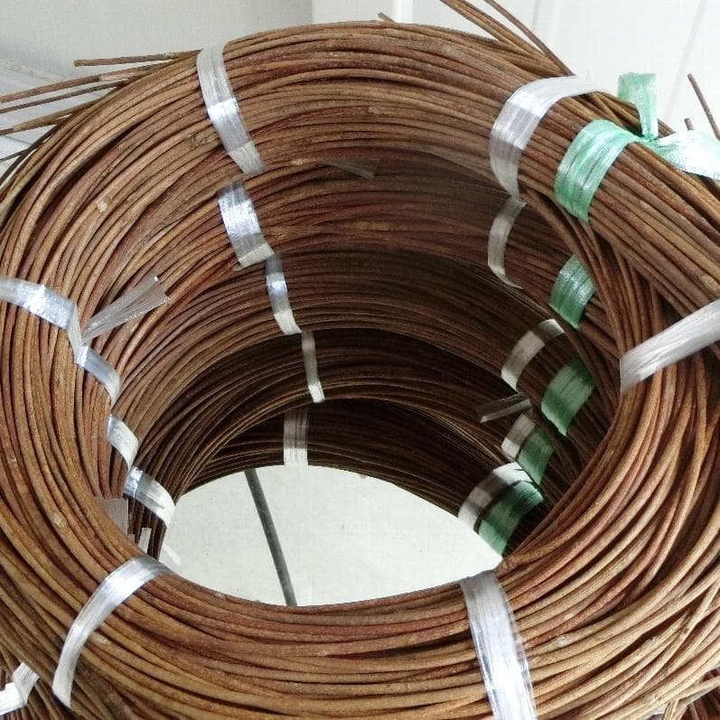 みっくん　青森岩木山採取　あけび蔓　150cm～ 5kg