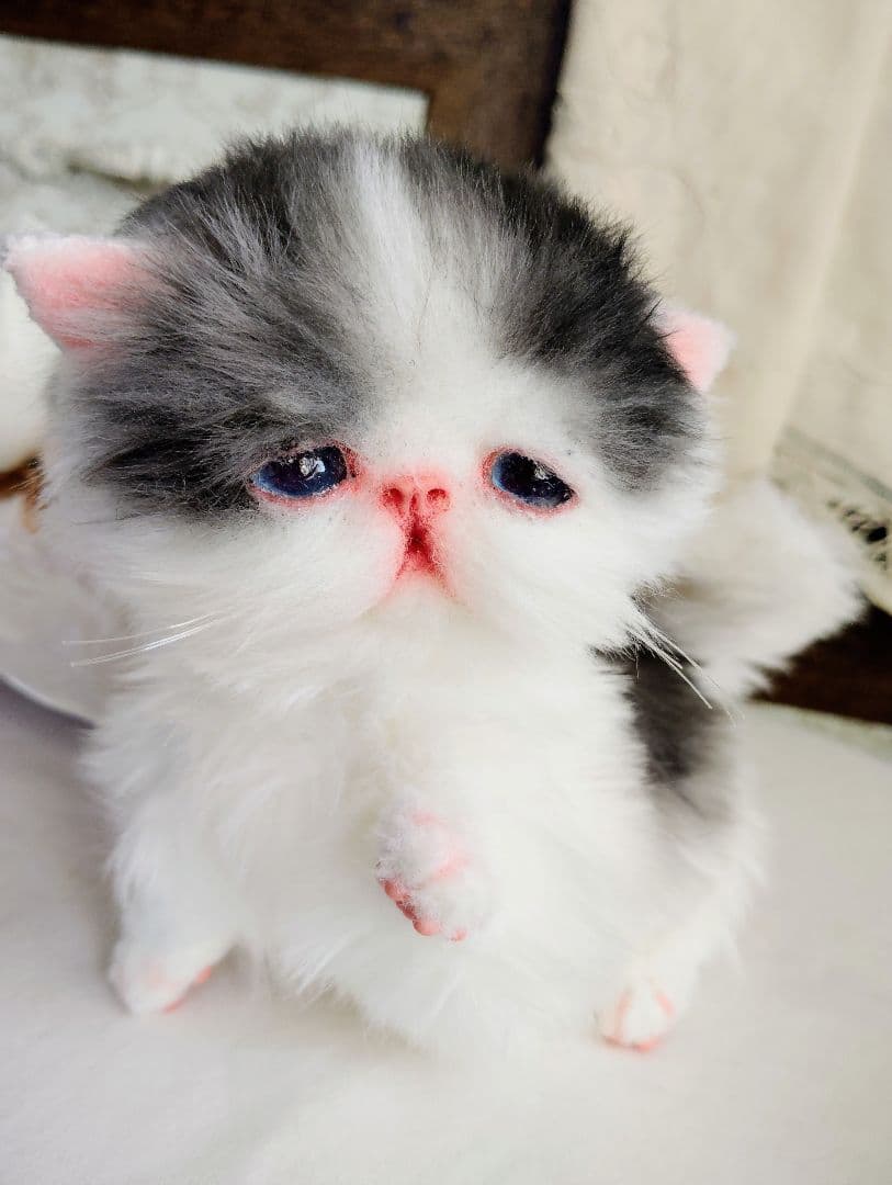 子猫あずきちゃん❤ころころぽっちゃりちゃん♡カゴセット♡アートドール♡ぬいぐるみ