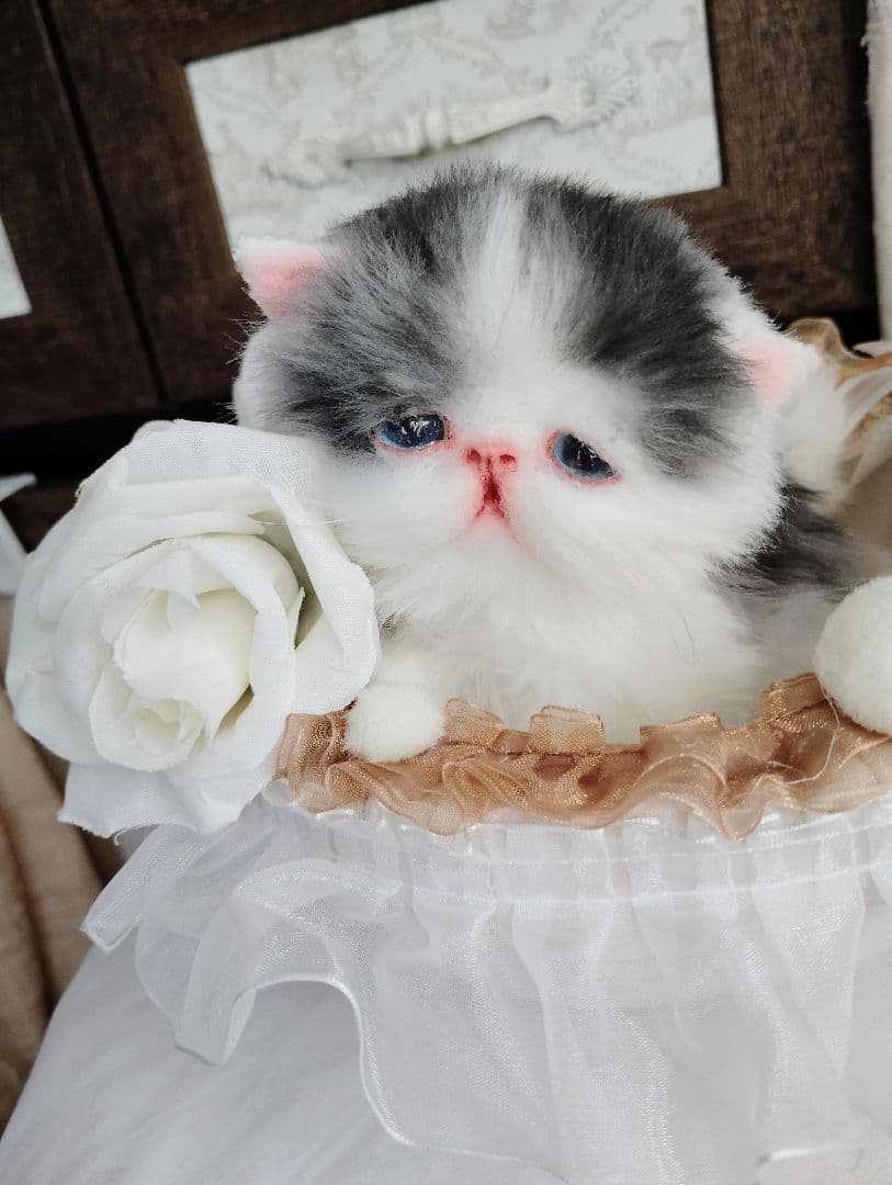 子猫あずきちゃん❤ころころぽっちゃりちゃん♡カゴセット♡アートドール♡ぬいぐるみ