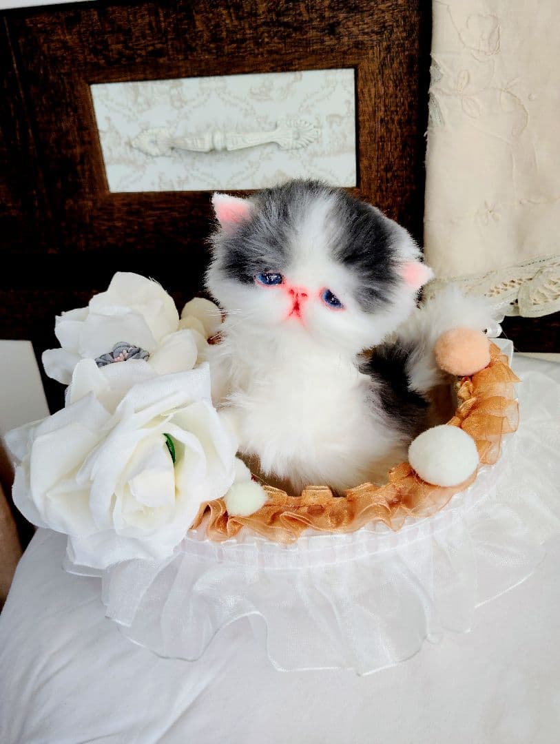 子猫あずきちゃん❤ころころぽっちゃりちゃん♡カゴセット♡アートドール♡ぬいぐるみ