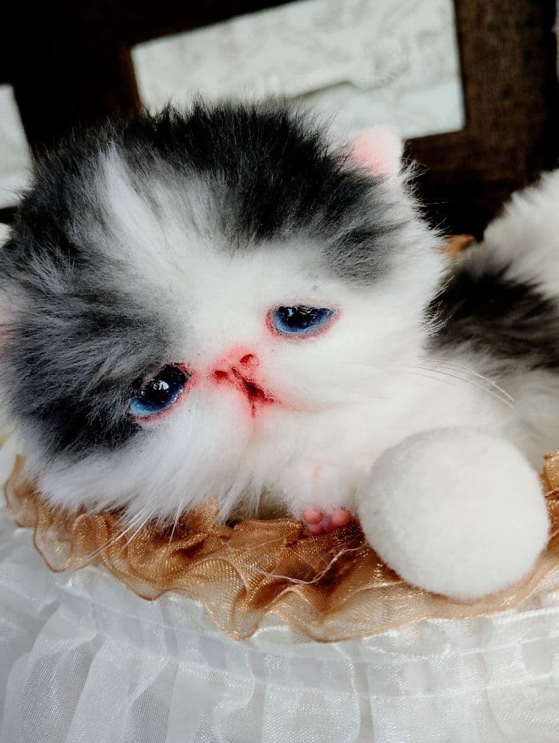 子猫あずきちゃん❤ころころぽっちゃりちゃん♡カゴセット♡アートドール♡ぬいぐるみ