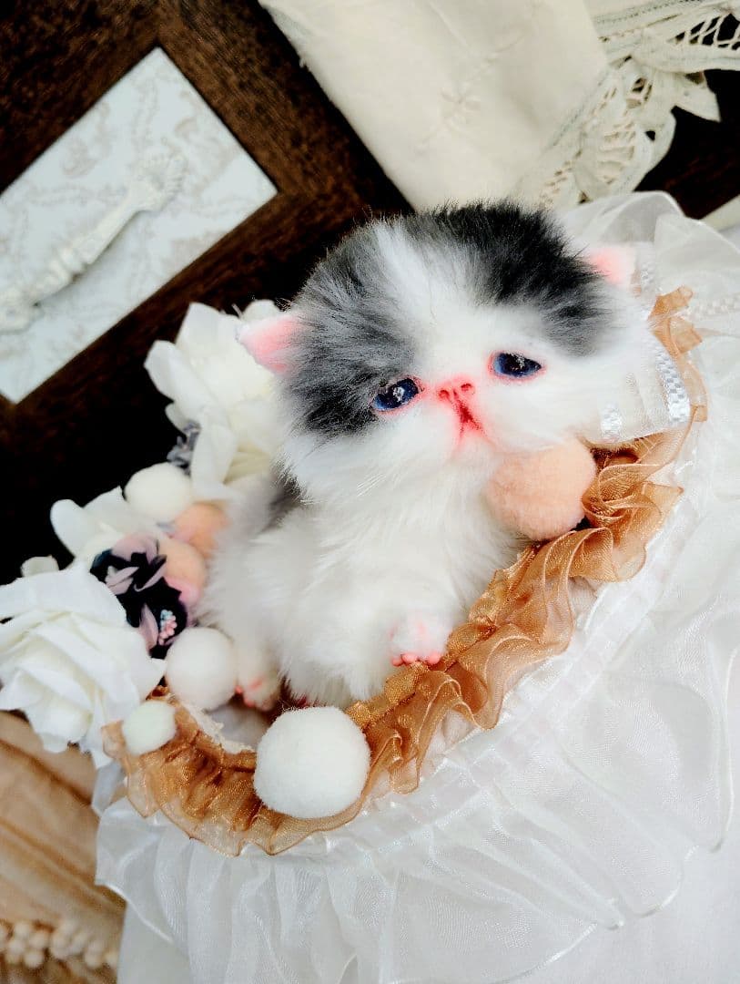 子猫あずきちゃん❤ころころぽっちゃりちゃん♡カゴセット♡アートドール♡ぬいぐるみ