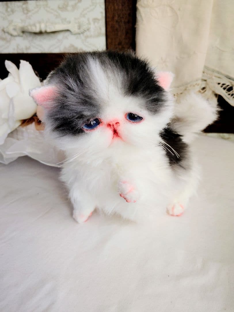 子猫あずきちゃん❤ころころぽっちゃりちゃん♡カゴセット♡アートドール♡ぬいぐるみ