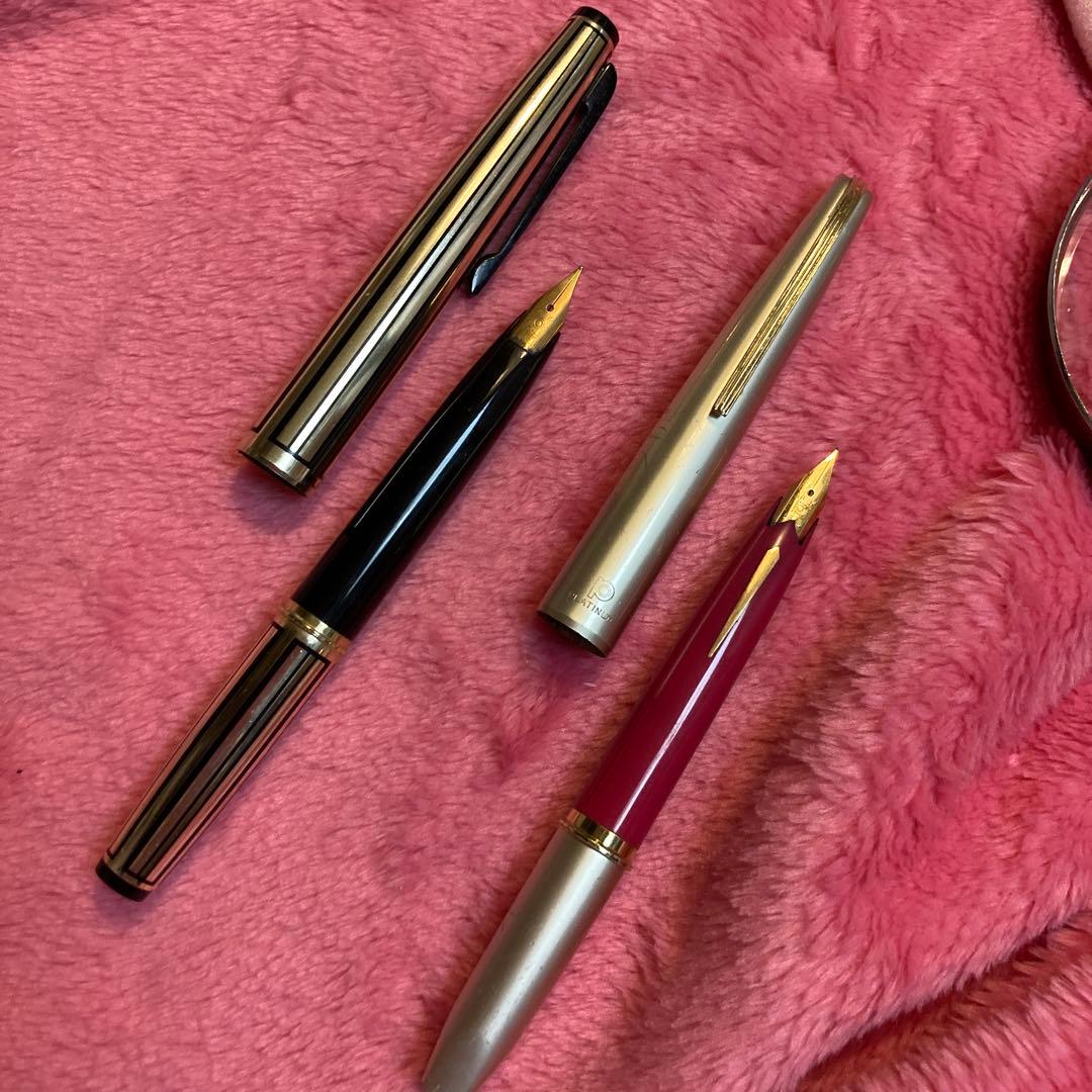 共にPLUTINUM18K, 黒の方は中字、ピンクは細軟。