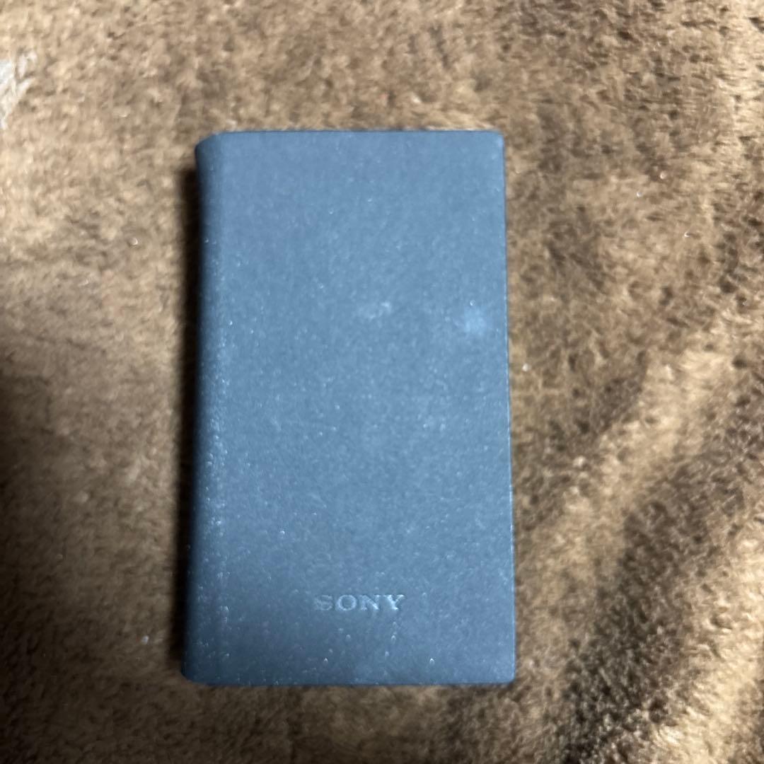 SONY NW-A306 32GB デジタルオーディオプレーヤー