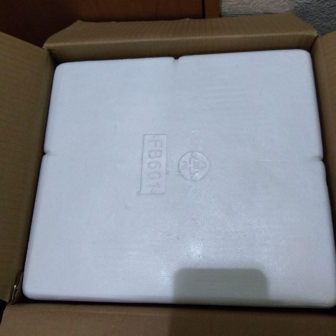 新品未使用 IRIS 高圧洗浄機 FBN-601HG 洗車 洗浄機 掃除