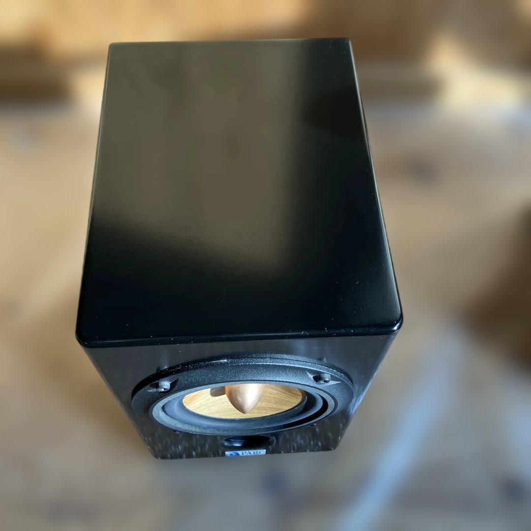 PARC Audio（パークオーディオ）ブラック・スペシャル塗装、ウッドコーン