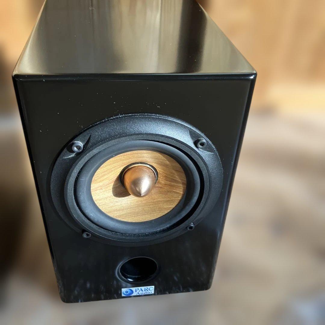 PARC Audio（パークオーディオ）ブラック・スペシャル塗装、ウッドコーン