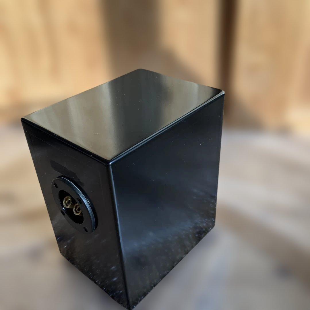 PARC Audio（パークオーディオ）ブラック・スペシャル塗装、ウッドコーン