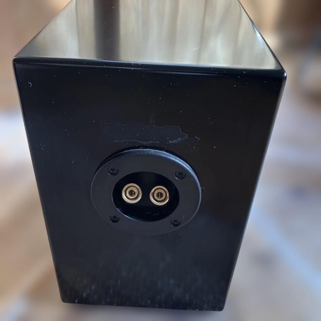 PARC Audio（パークオーディオ）ブラック・スペシャル塗装、ウッドコーン