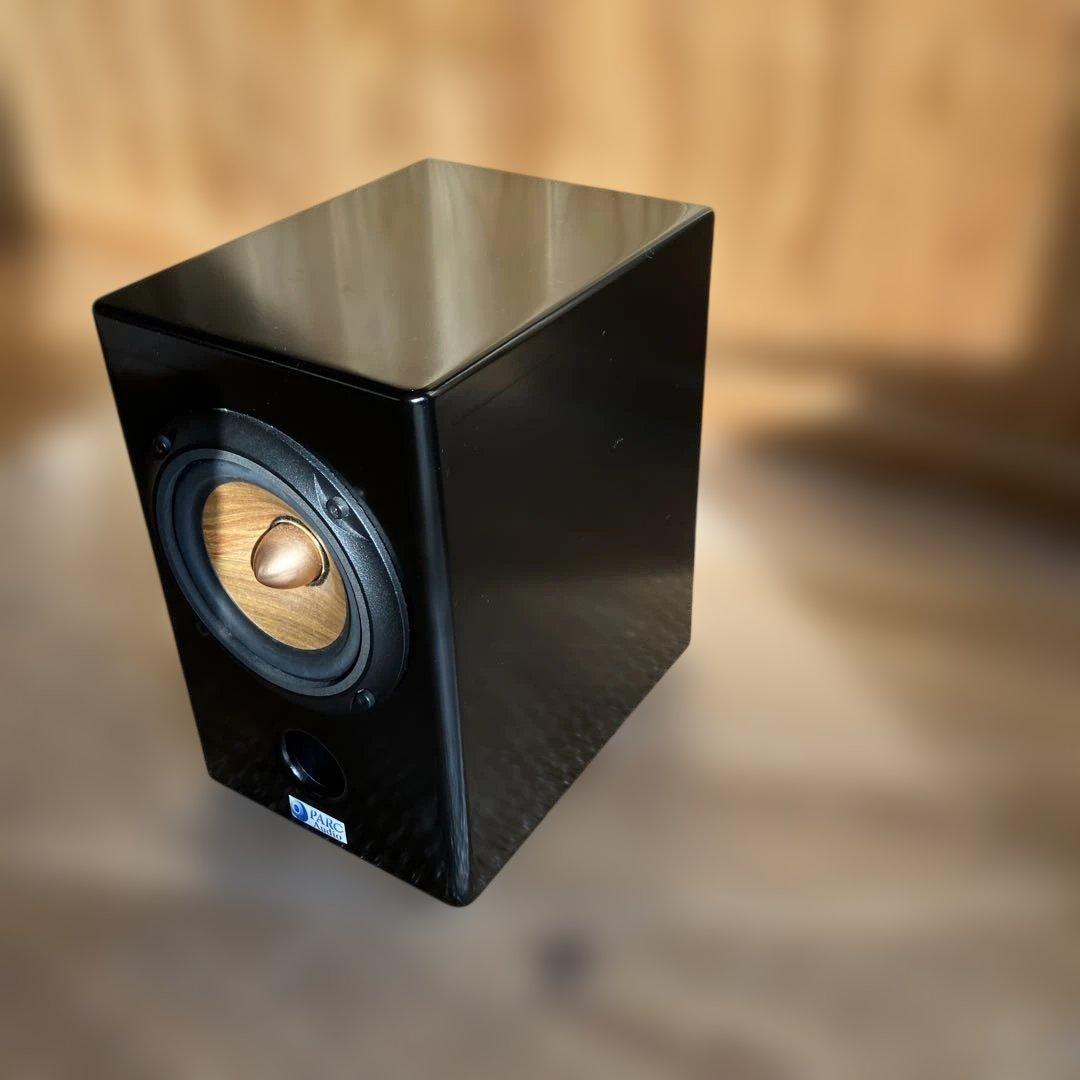 PARC Audio（パークオーディオ）ブラック・スペシャル塗装、ウッドコーン