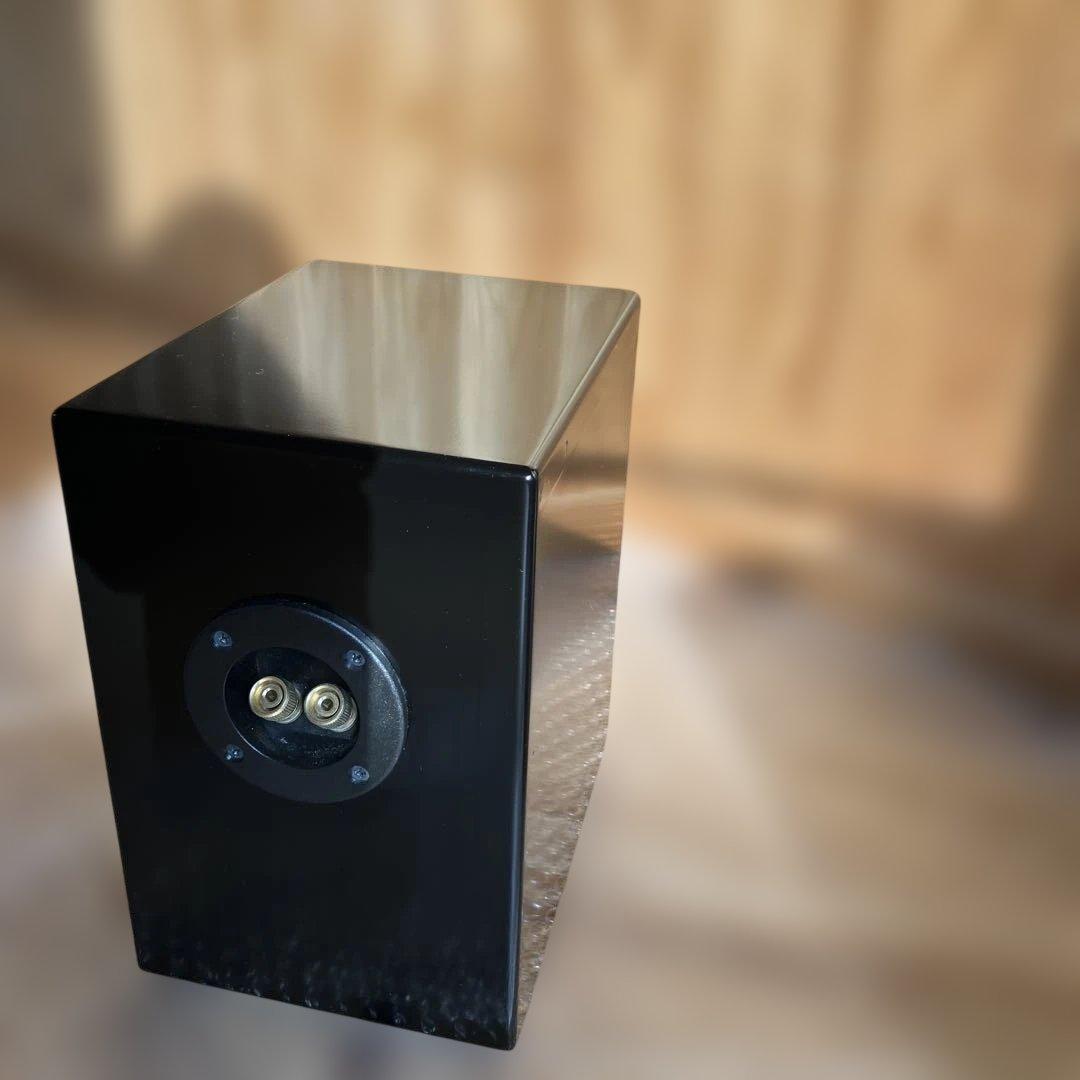 PARC Audio（パークオーディオ）ブラック・スペシャル塗装、ウッドコーン