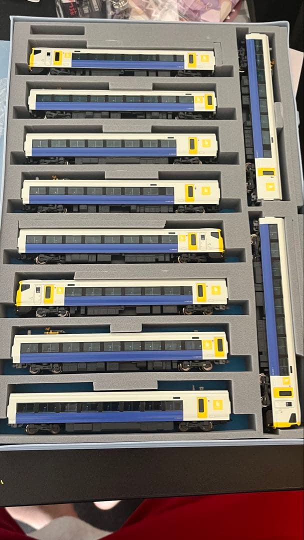 マイクロエース E257系500番台 旧スカート TN化 パンタ交換 10両