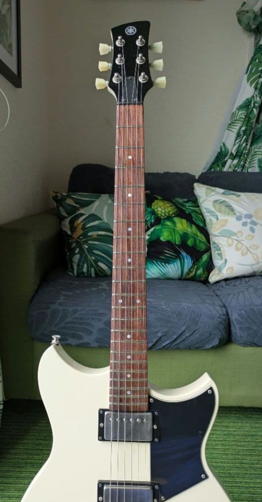 売約済み　リー　YAMAHA REVSTAR RSE20