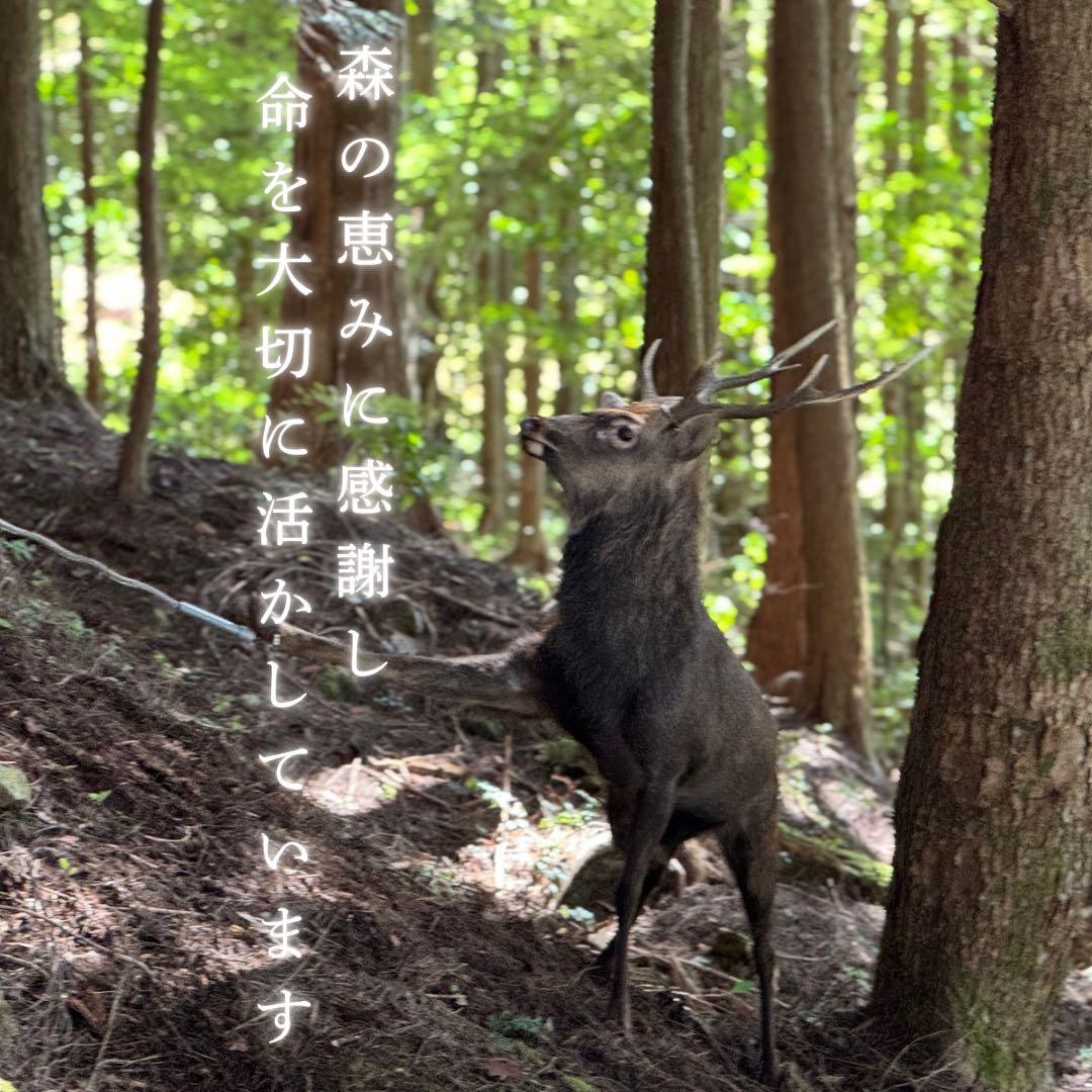 お得用‼️1000g 鹿あばらジャーキー 中小型犬向けサイズ 鹿肉ジャーキー
