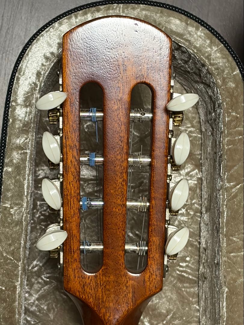 ✴︎美品✴︎ SUZUKI マンドリン M-30 & スーパーライトケース茶色