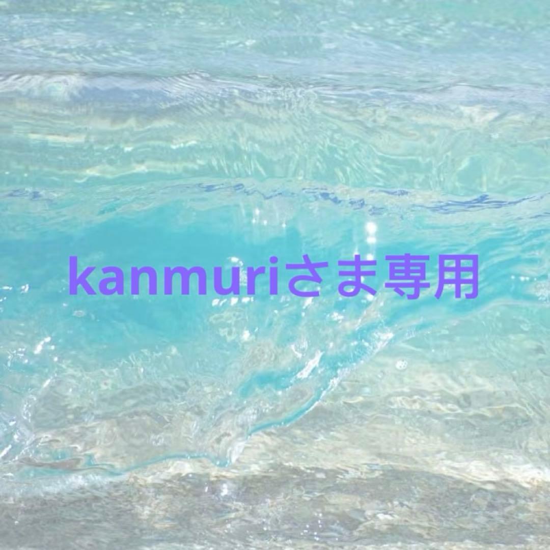 kanmuriさま専用