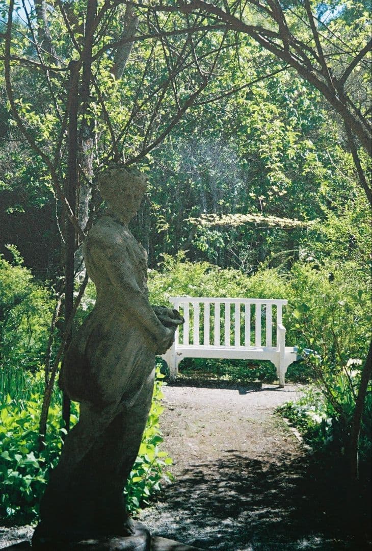 ☆美品・作例有☆ Canon demi EE17 露出計動作品