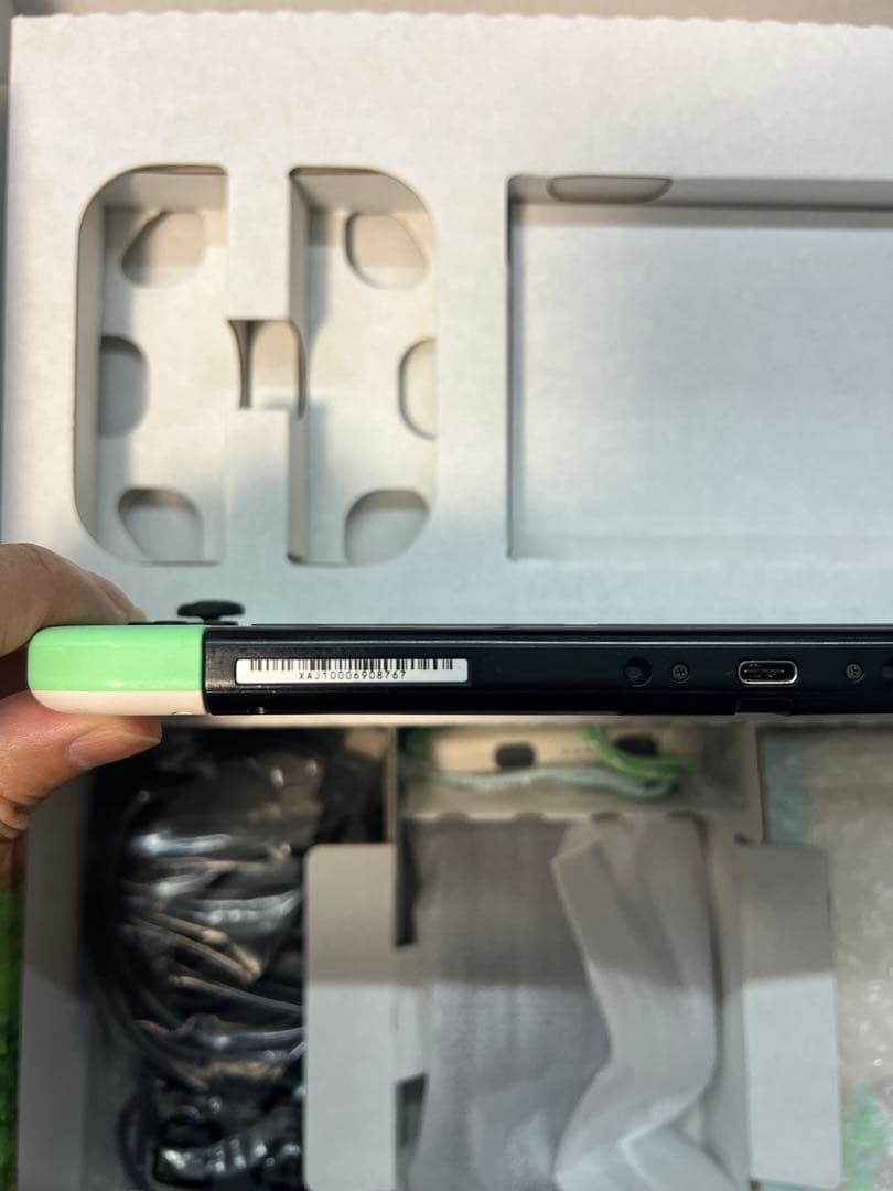 (623) Switch あつまれどうぶつの森 モデル