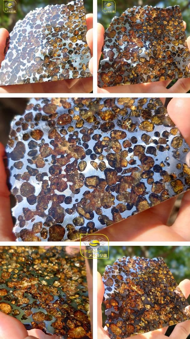 隕石スプリングウォーター パラサイト 91.5g❗ Springwater⭐⭐⭐